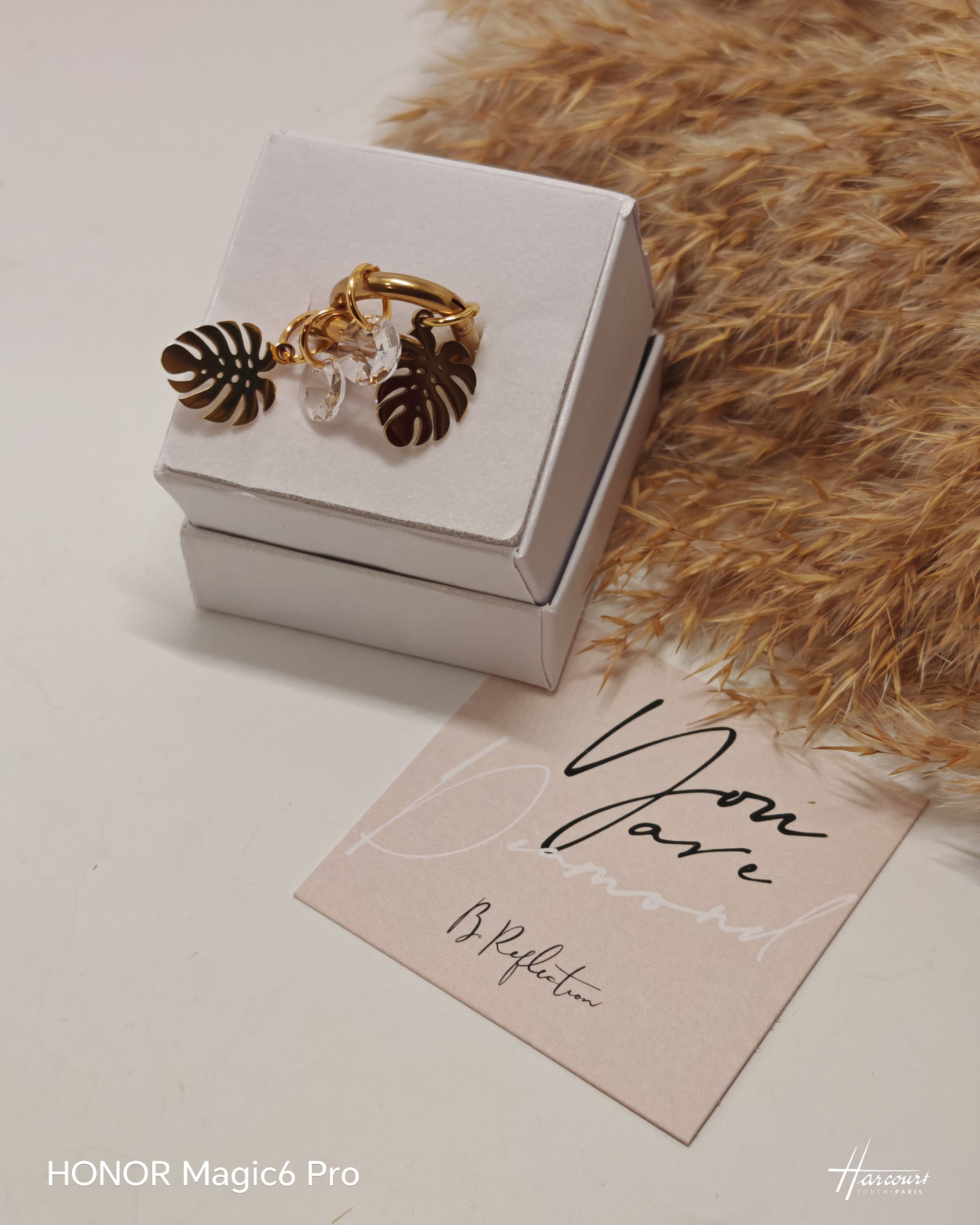 Monstera_zlata - Image 5